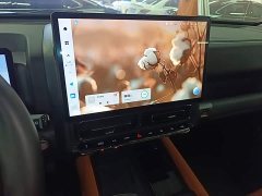 Haval H9 2.0T Gasoline AWD Extreme Edition - ფოტო 13