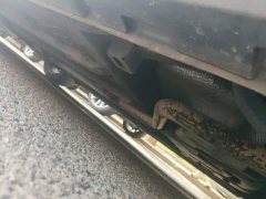 Trumpchi Leopard 270T DCT J15 - ფოტო 19