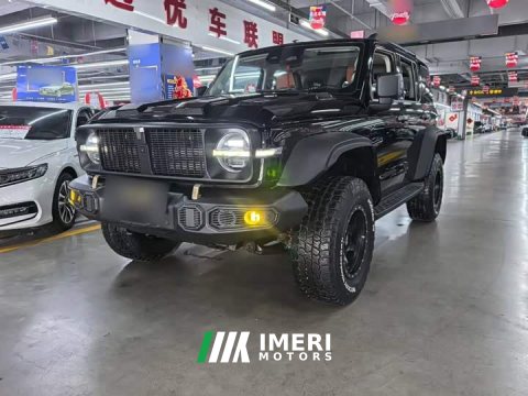 2021 Tank 300 Off-Road Edition 2.0T Conqueror - ავტომობილი ჩინეთიდან
