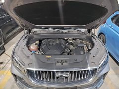 Geely Xingyue L 2.0TD High-Power Automatic FWD Horizon Edition - ფოტო 20
