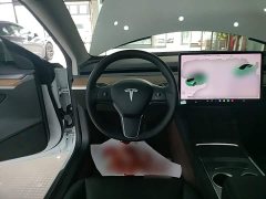 Tesla Model 3 Standard Range RWD Upgrade - ფოტო 11