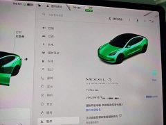 Tesla Model 3 Standard Range RWD Upgrade - ფოტო 12
