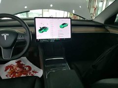 Tesla Model 3 Standard Range RWD Upgrade - ფოტო 13