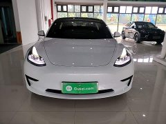Tesla Model 3 Standard Range RWD Upgrade - ფოტო 3