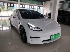 Tesla Model 3 Standard Range RWD Upgrade - ფოტო 4