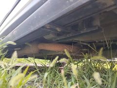 Changan Chitu Zhuifeng C-DM 2022 1.5TCI-DHT 105KM Chengfeng Edition - ფოტო 19