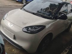 Wuling Binguo 2023 333km Joy Edition - ფოტო 1