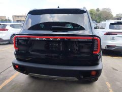 Great Wall Dachshund 1.5T DCT Border Collie Edition - ფოტო 6