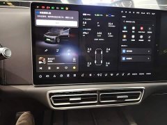 Li Auto L9 Pro - ფოტო 13