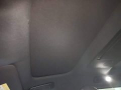 Li Auto L9 Pro - ფოტო 18