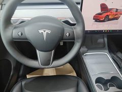 Tesla Model Y 2023 Rear-Wheel Drive - ფოტო 10