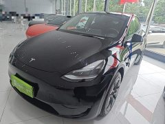 Tesla Model Y 2023 Rear-Wheel Drive - ფოტო 2