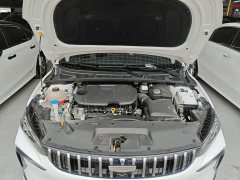 Geely Binrui 2024 Binrui COOL 1.5T DCT Champion Edition - ფოტო 16