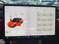 Tesla Model Y Long Range All-Wheel Drive - ფოტო 13