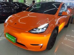 Tesla Model Y Long Range All-Wheel Drive - ფოტო 2