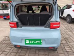 Wuling Hongguang MINIEV 2020 Deluxe Edition LFP Battery - ფოტო 19