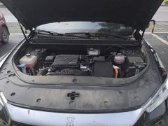 BYD Song Pro New Energy DM-i 71KM Glory Edition Pilot - ფოტო 11
