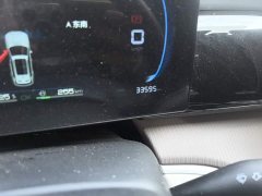 BYD Song Pro New Energy DM-i 71KM Glory Edition Pilot - ფოტო 5