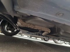 Hyundai Elantra 1.5L CVT Luxury - ფოტო 17
