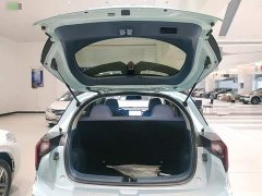 Geely Geometry E Firefly 2022 401KM Linglong Tiger 4-Seater - ფოტო 15