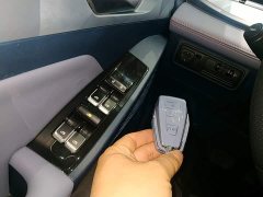 Geely Geometry E Firefly 2022 401KM Linglong Tiger 4-Seater - ფოტო 17
