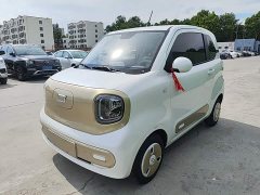 FAW Besturn Xiaoma 222km Linglong Edition - ფოტო 1