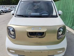 FAW Besturn Xiaoma 222km Linglong Edition - ფოტო 20