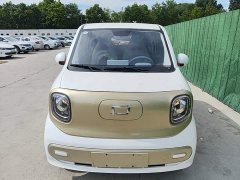 FAW Besturn Xiaoma 222km Linglong Edition - ფოტო 3