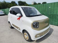 FAW Besturn Xiaoma 222km Linglong Edition - ფოტო 4