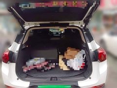 Buick Encore GX 2022 332T CVT FWD Luxury - ფოტო 10