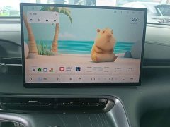 Geely Galaxy E5 530km Explorer Edition - ფოტო 13