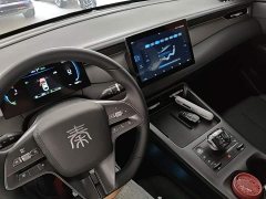 BYD Qin PLUS DM-i Smart Drive Edition 55KM Leading - ფოტო 10