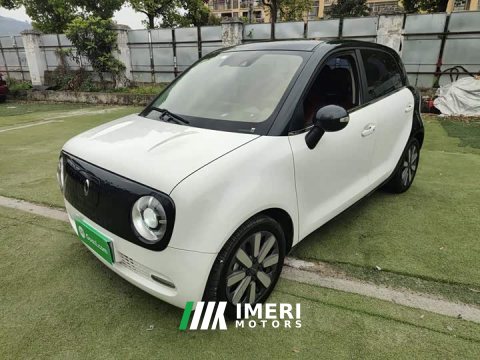 2021 ORA Black Cat 405km Long Range - ავტომობილი ჩინეთიდან