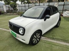 ORA Black Cat 405km Long Range - ფოტო 2