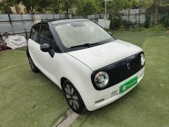 ORA Black Cat 405km Long Range - ფოტო 4