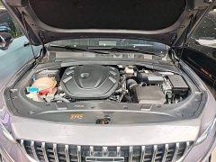 Geely Xingrui 2025 Oriental Radiance 2.0T Diesel Moonlight Edition - ფოტო 16