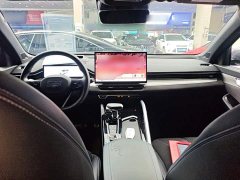 Geely Xingrui 2025 Oriental Radiance 2.0T Diesel Moonlight Edition - ფოტო 6
