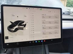 Tesla Model Y Long Range All-Wheel Drive - ფოტო 13