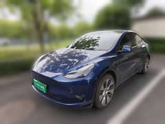 Tesla Model Y Long Range All-Wheel Drive - ფოტო 1