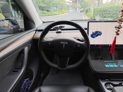 Tesla Model Y Long Range All-Wheel Drive - ფოტო 3