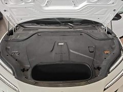 Lotus EMEYA L - ფოტო 20
