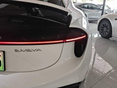 Lotus EMEYA L - ფოტო 8