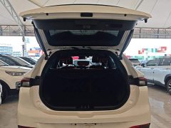 Dongfeng Fenghang T5 EVO 1.5TD DCT Star Shine Edition - ფოტო 16