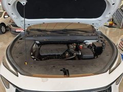 Dongfeng Fenghang T5 EVO 1.5TD DCT Star Shine Edition - ფოტო 17