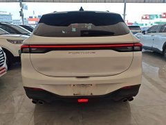 Dongfeng Fenghang T5 EVO 1.5TD DCT Star Shine Edition - ფოტო 4