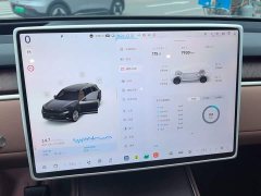 Nio Lerado L90 Max Six-Seater - ფოტო 12