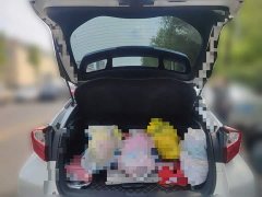 Toyota Yize IZOA 2020 2.0L Yixiang Edition - ფოტო 10
