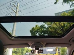 Geely Xingrui 2.0T Diesel Luxury - ფოტო 14