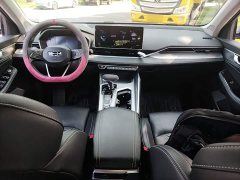 Geely Xingrui 2.0T Diesel Luxury - ფოტო 6