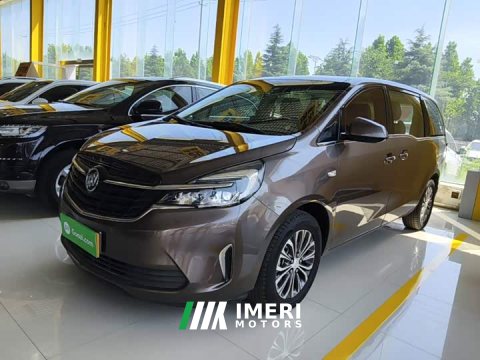 2021 Buick GL8 Land Business Class 652T Comfort - ავტომობილი ჩინეთიდან